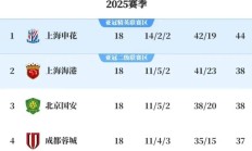 九游app下载-申花主场击败人和，继续保持上升势头的简单介绍