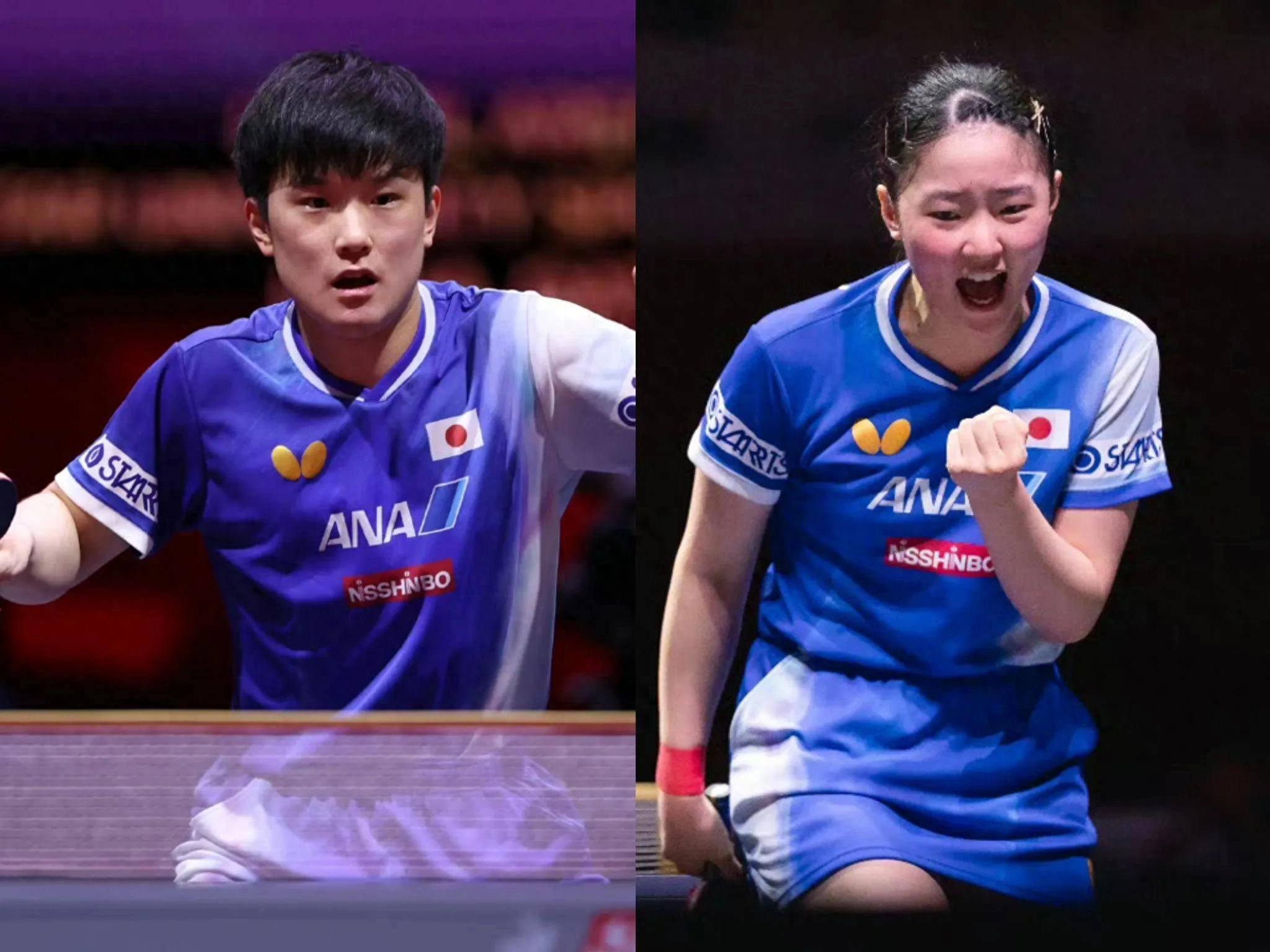 日本队完胜波兰队，张本智和状态火热的简单介绍