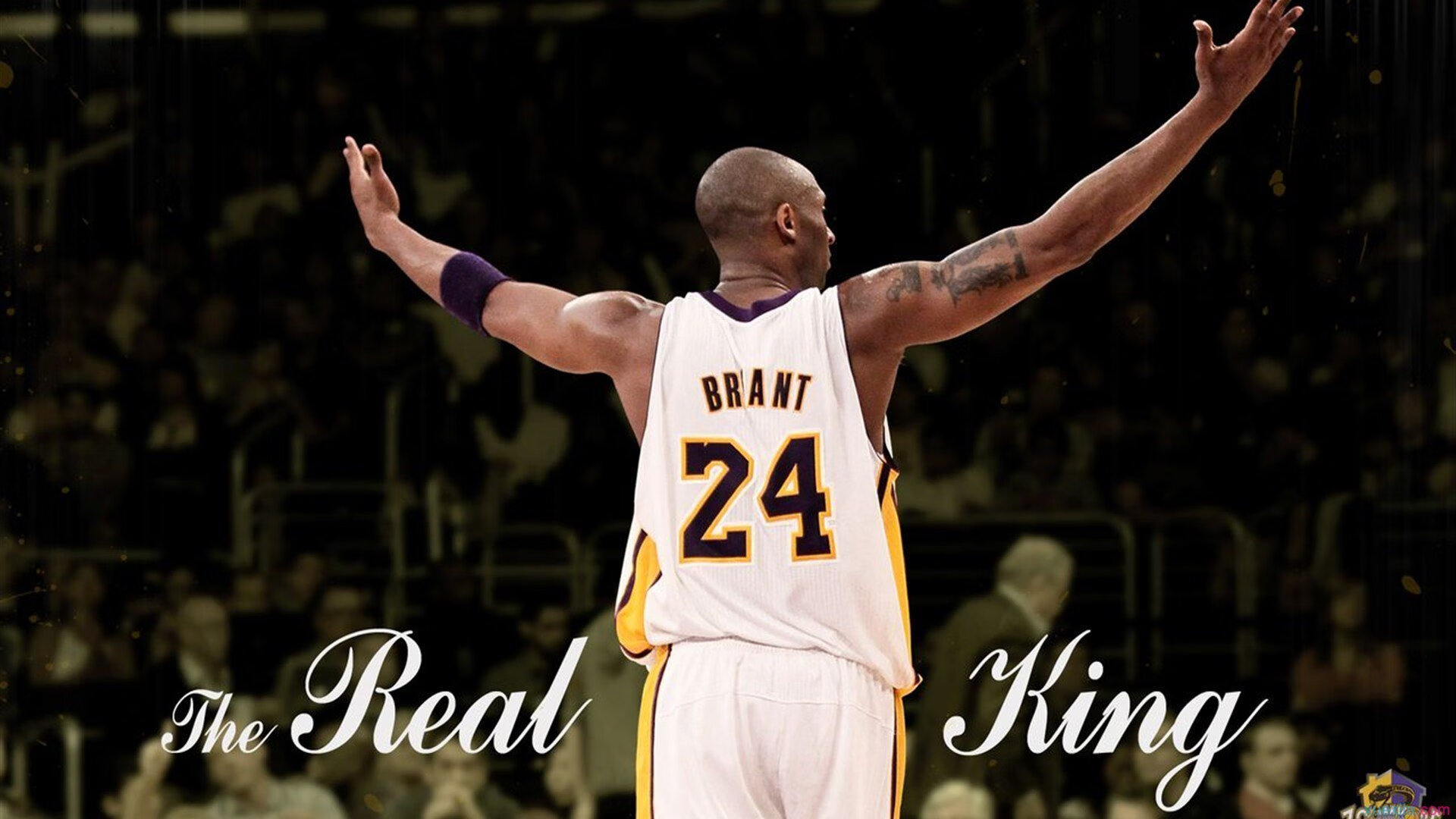 北欧神话再临，挪威终场绝杀，欧冠焦点战上演冰与火之歌